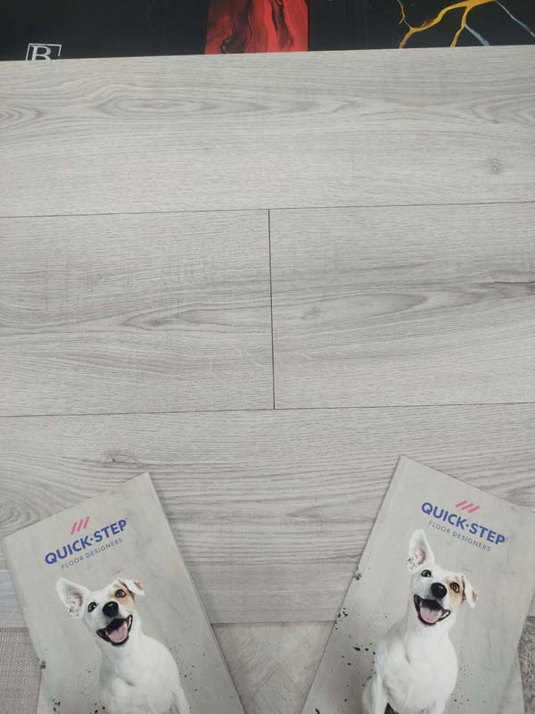 Ламинат Quick-Step Classic Дуб Пепельный Серый CLH 5786 крупным планом