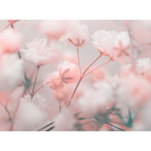 Фотообои Citydecor Цветы/Растения 169