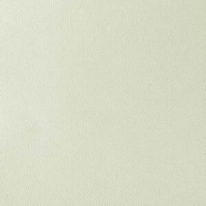 Обои Parati & Parati Uno FN26029