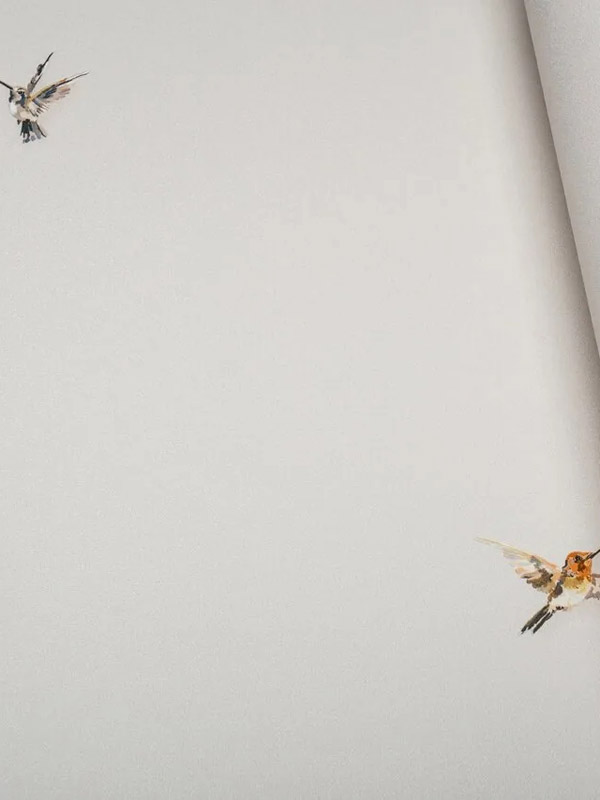 Обои Andrea Rossi Spectrum Plus 54356-2 крупным планом