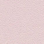 обои Alessandro Allori Barbara R 65438-10