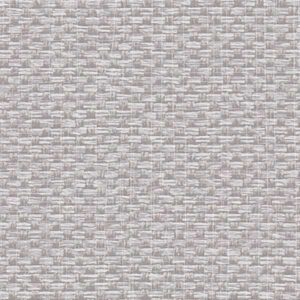 Обои Alessandro Allori Barbara RWA 2609-2