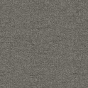 Обои Alessandro Allori Breeze RDT 2210-5