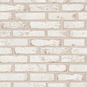 Обои Andrea Rossi Spectrum Trend 54428-6