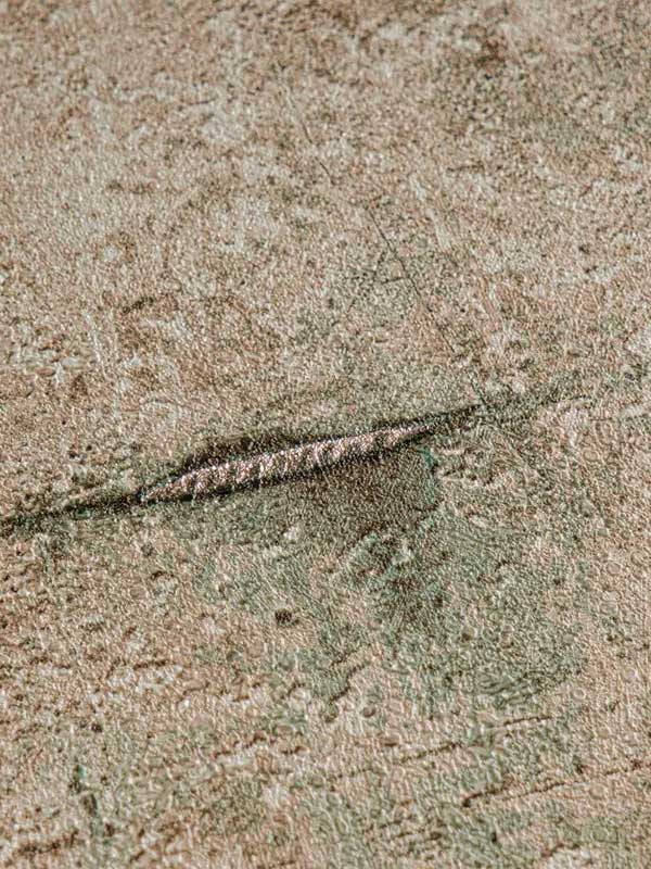 Обои AS Creation Cosmo Living 79085-4 крупным планом