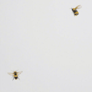 Обои Andrea Rossi Cavolli 54419-1