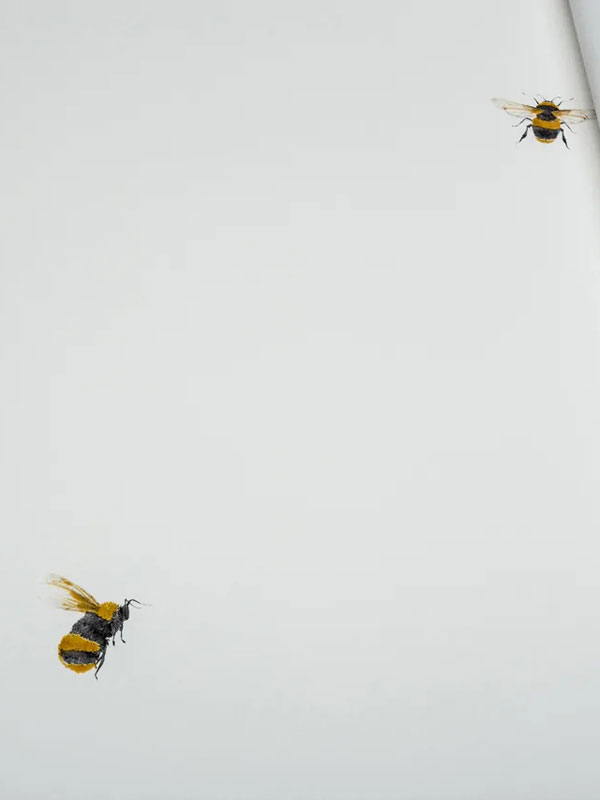 Обои Andrea Rossi Cavolli 54419-1 крупным планом