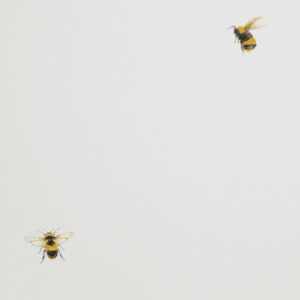 Обои Andrea Rossi Cavolli 54419-2