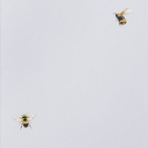 Обои Andrea Rossi Cavolli 54419-3