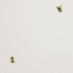 Обои Andrea Rossi Cavolli 54419-4