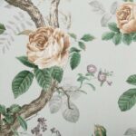 обои Andrea Rossi Cavolli 54421-6