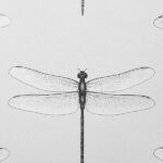 обои Andrea Rossi Cavolli 54426-1