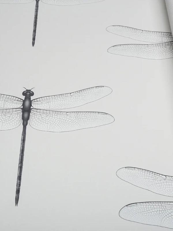 Обои Andrea Rossi Cavolli 54426-1 крупным планом