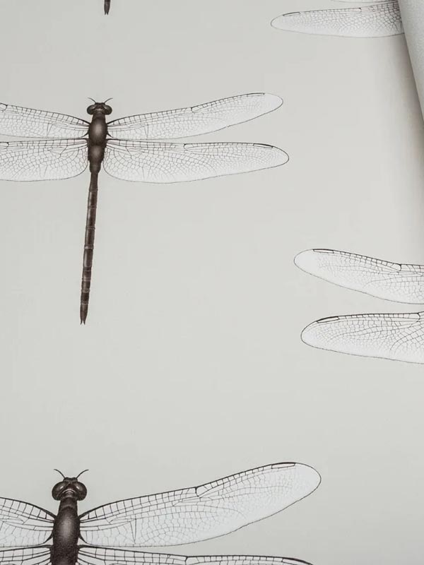 Обои Andrea Rossi Cavolli 54426-2 крупным планом