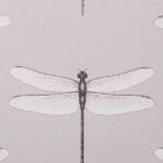 обои Andrea Rossi Cavolli 54426-4