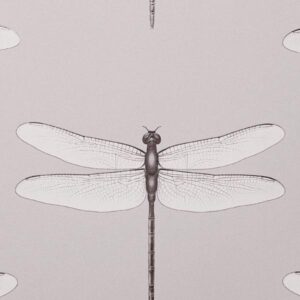 Обои Andrea Rossi Cavolli 54426-4