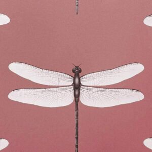 Обои Andrea Rossi Cavolli 54426-5