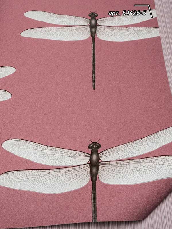 Обои Andrea Rossi Cavolli 54426-5 крупным планом