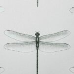 обои Andrea Rossi Cavolli 54426-6