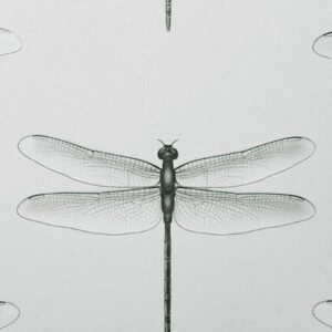 Обои Andrea Rossi Cavolli 54426-6