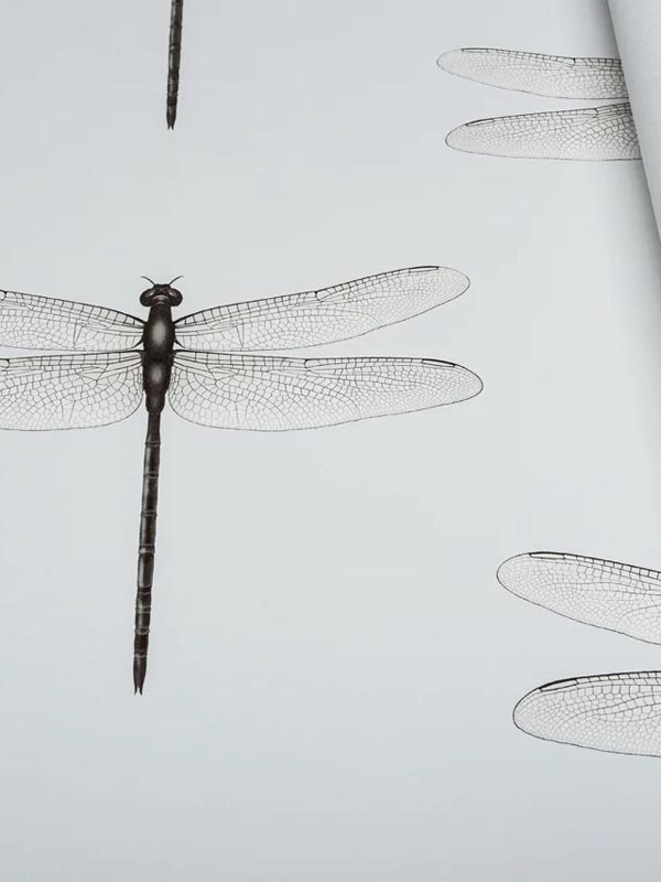 Обои Andrea Rossi Cavolli 54426-6 крупным планом