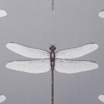 обои Andrea Rossi Cavolli 54426-7