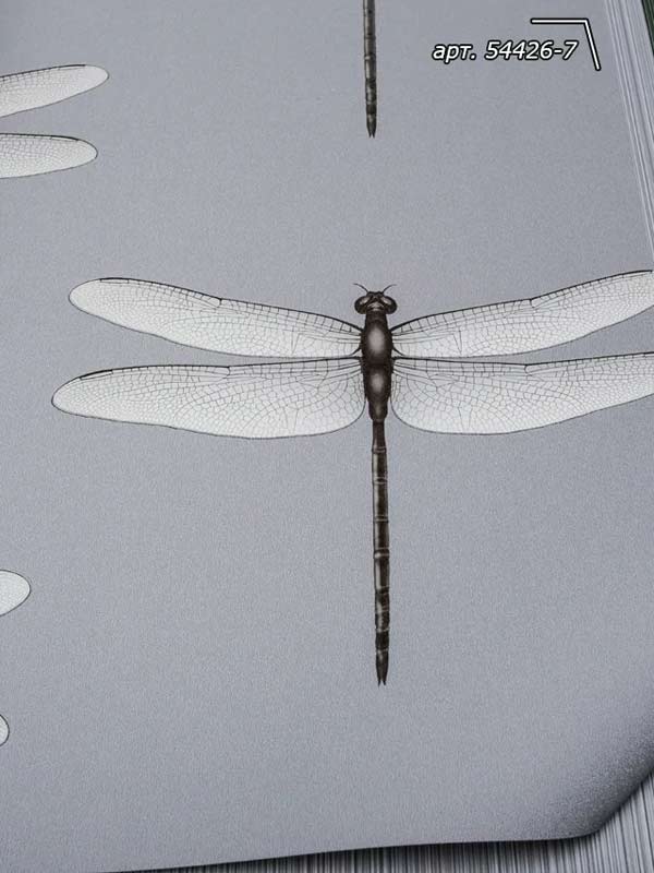 Обои Andrea Rossi Cavolli 54426-7 крупным планом