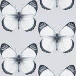 обои Andrea Rossi Cheradi 54401-1