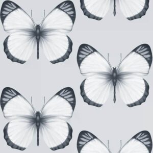 Обои Andrea Rossi Cheradi 54401-1