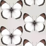 обои Andrea Rossi Cheradi 54401-3