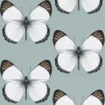 обои Andrea Rossi Cheradi 54401-4