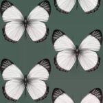 обои Andrea Rossi Cheradi 54401-5