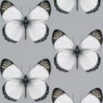 обои Andrea Rossi Cheradi 54401-6