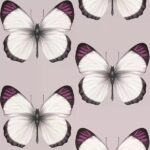 обои Andrea Rossi Cheradi 54401-7