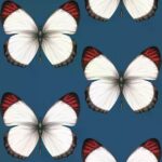 обои Andrea Rossi Cheradi 54401-8