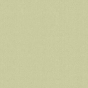 Обои Andrea Rossi Spectrum Boom 54480-30