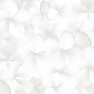 Обои Andrea Rossi Spectrum Boom 54483-1