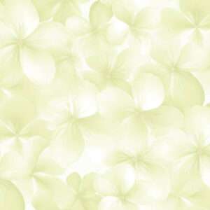 Обои Andrea Rossi Spectrum Boom 54483-5