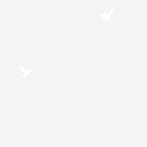 Обои Andrea Rossi Spectrum Box 54458-5