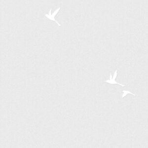 Обои Andrea Rossi Spectrum Box 54458-6