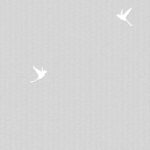 обои Andrea Rossi Spectrum Box 54458-8