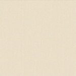 обои Cassanie Tessi DF1002