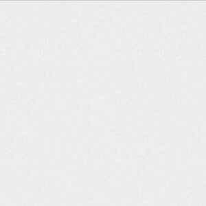 Обои Cassanie Tessi DF1005