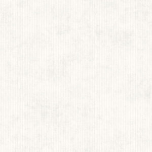 Обои Cassanie Tessi DF5005